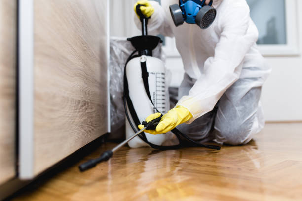 Reliable Franklin, LA Pest Control Solutions