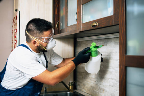 Best Commercial Pest Control Services  in Franklin, LA