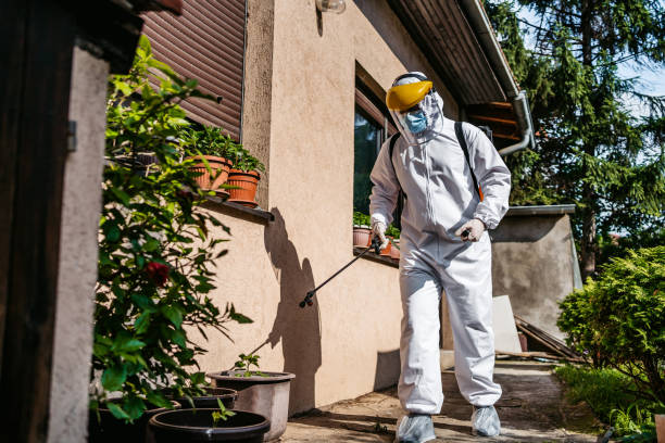 Best Wildlife Control Services  in Franklin, LA