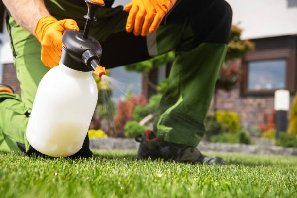 Best Insect Control  in Franklin, LA