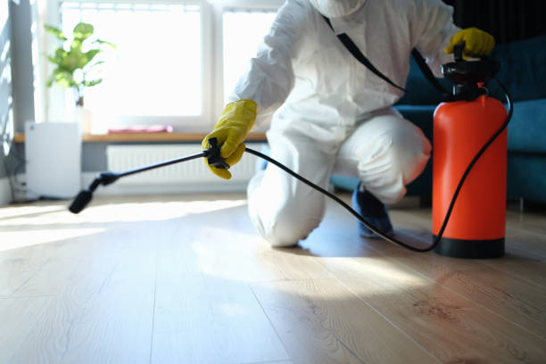 Trusted Franklin, LA Pest Control Experts