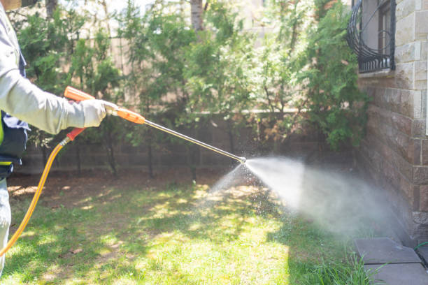 Best Local Pest Control Services  in Franklin, LA