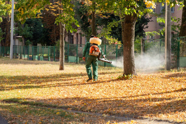 Best Rat Extermination Near Me  in Franklin, LA