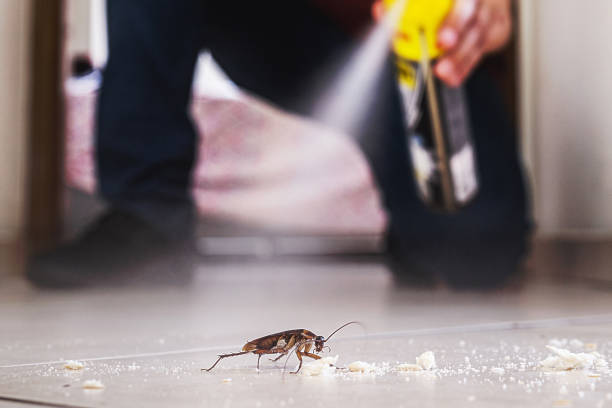 Best Exterminator Services  in Franklin, LA