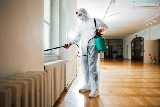 Best Pest Inspection Near Me  in Franklin, LA